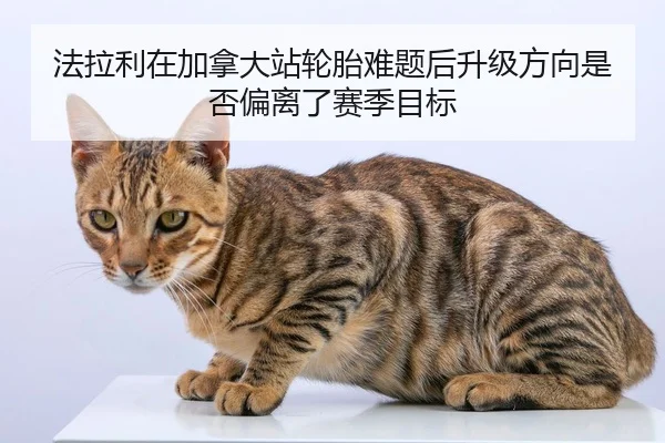 fa-la-li-zai-jia-na-da-zhan-lun-tai-nan-ti-hou-sheng-ji-fang-xiang-shi-fou-pian-li-le-sai-ji-mu-biao-2-293.jpg
