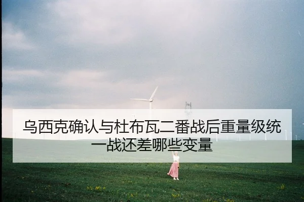 乌西克确认与杜布瓦二番战后重量级统一战还差哪些变量