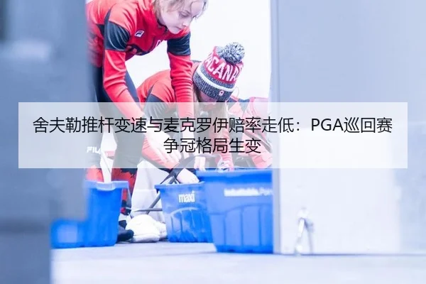 she-fu-lei-tui-gan-bian-su-yu-mai-ke-luo-yi-pei-lv-zou-di-xun-hui-sai-zheng-guan-ge-ju-sheng-bian-3-933.jpg