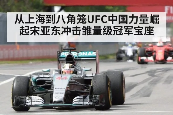 从上海到八角笼UFC中国力量崛起宋亚东冲击雏量级冠军宝座